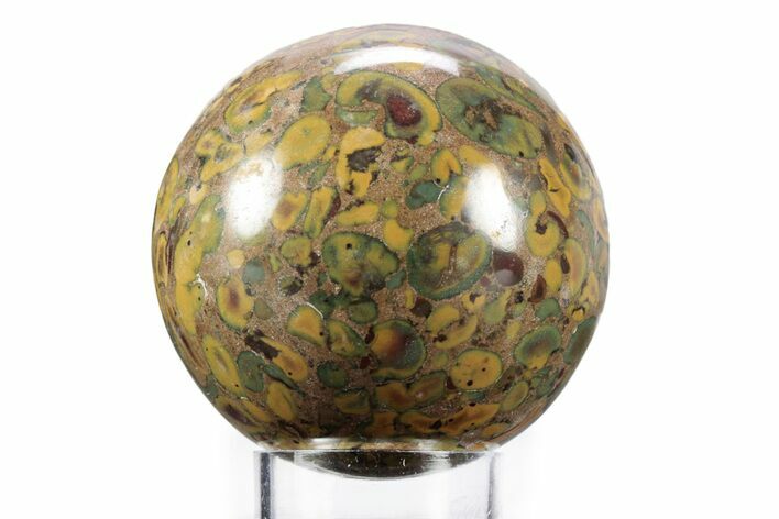 Polished Fruit Jasper Sphere - India #359732